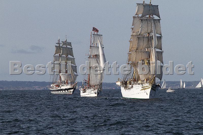 TSR2011_2 516.JPG